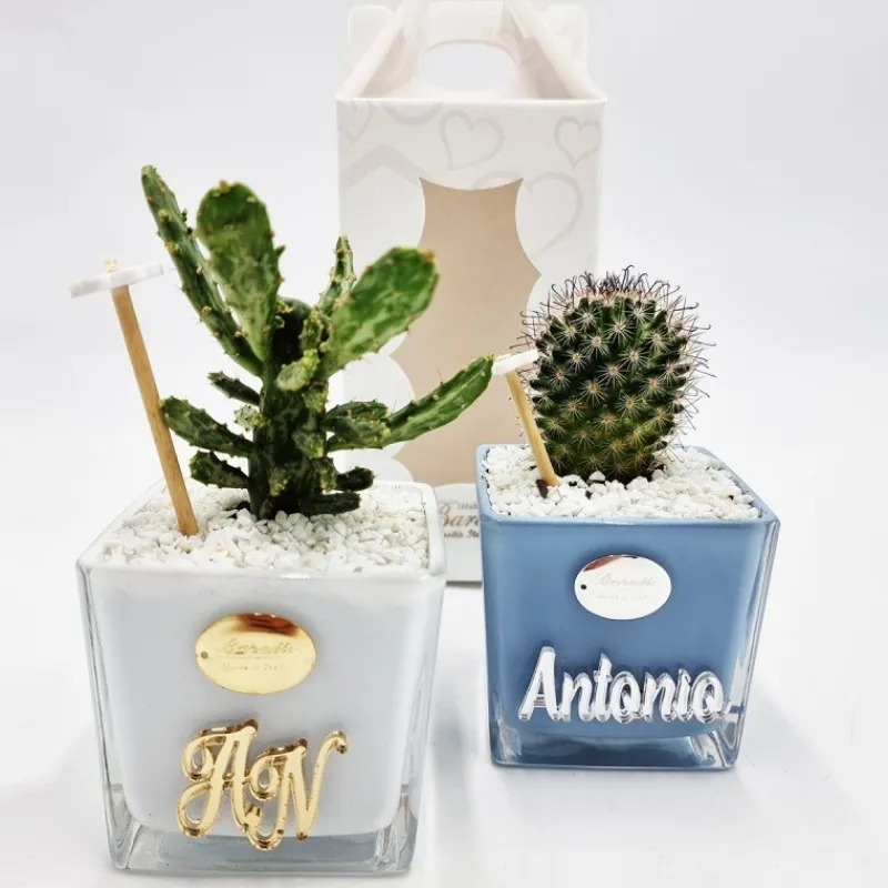 vaso_personalizzato_con_p_1.webp Baratti Argenti Comunione | Battesimo E Nascita>Vaso Personalizzato con Pianta Grassa - Design Unico e Regalo Perfetto