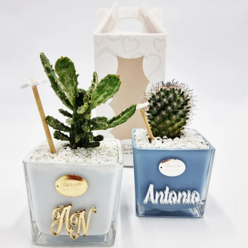 vaso_personalizzato_con_p_2.webp Baratti Argenti Comunione | Battesimo E Nascita>Vaso Personalizzato con Pianta Grassa - Design Unico e Regalo Perfetto